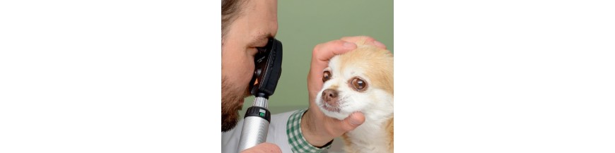 VET Oftalmoscopi per veterinario